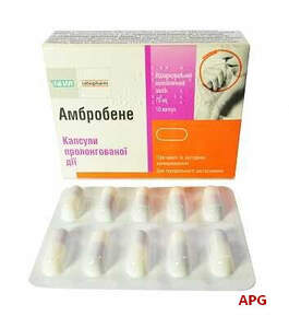АМБРОБЕНЕ РЕТАРД 75 мг N10 капс. пролонг. дейст.